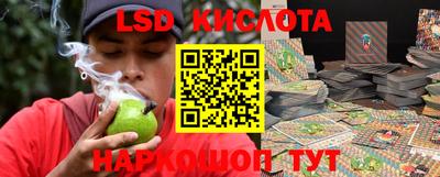 стаф Краснодар